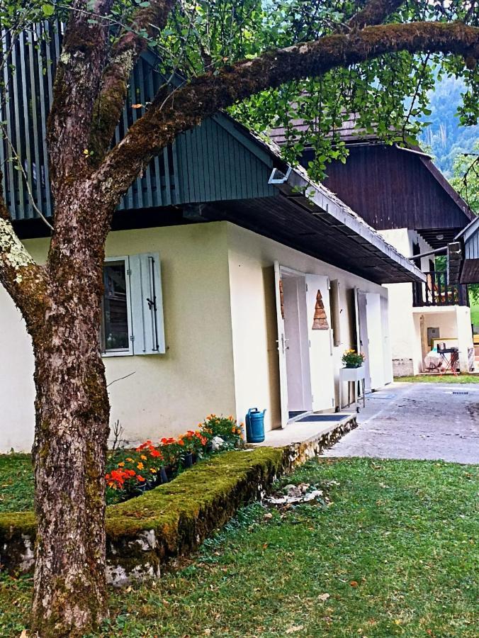 Cozy Cottage In The Heart Of The Triglav National Park Soca Ngoại thất bức ảnh