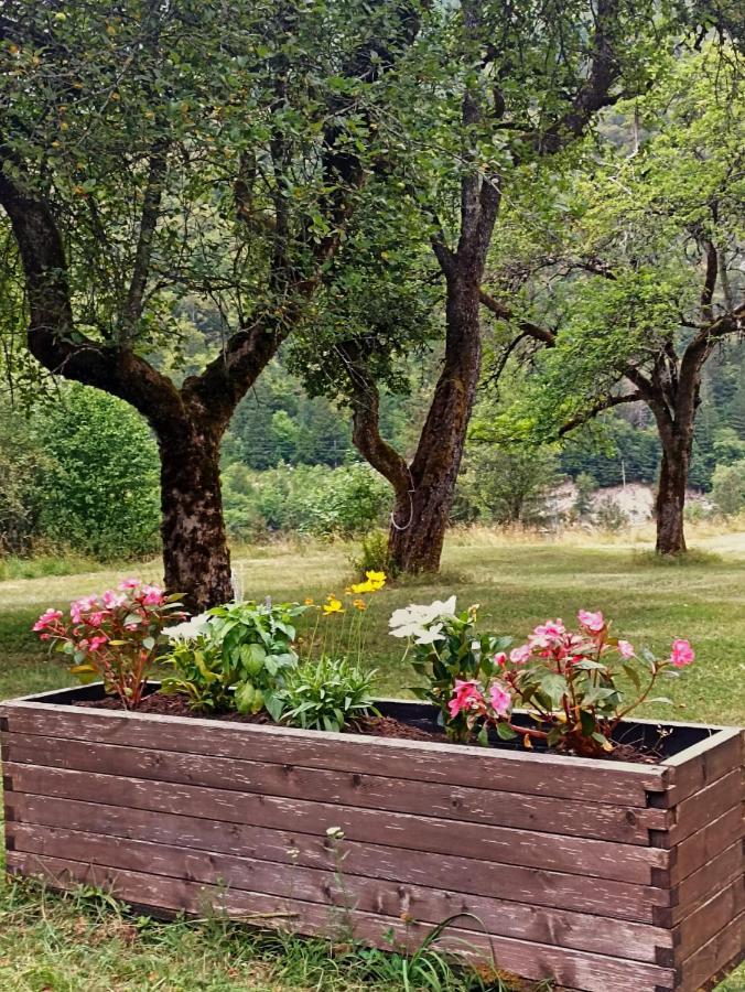 Cozy Cottage In The Heart Of The Triglav National Park Soca Ngoại thất bức ảnh