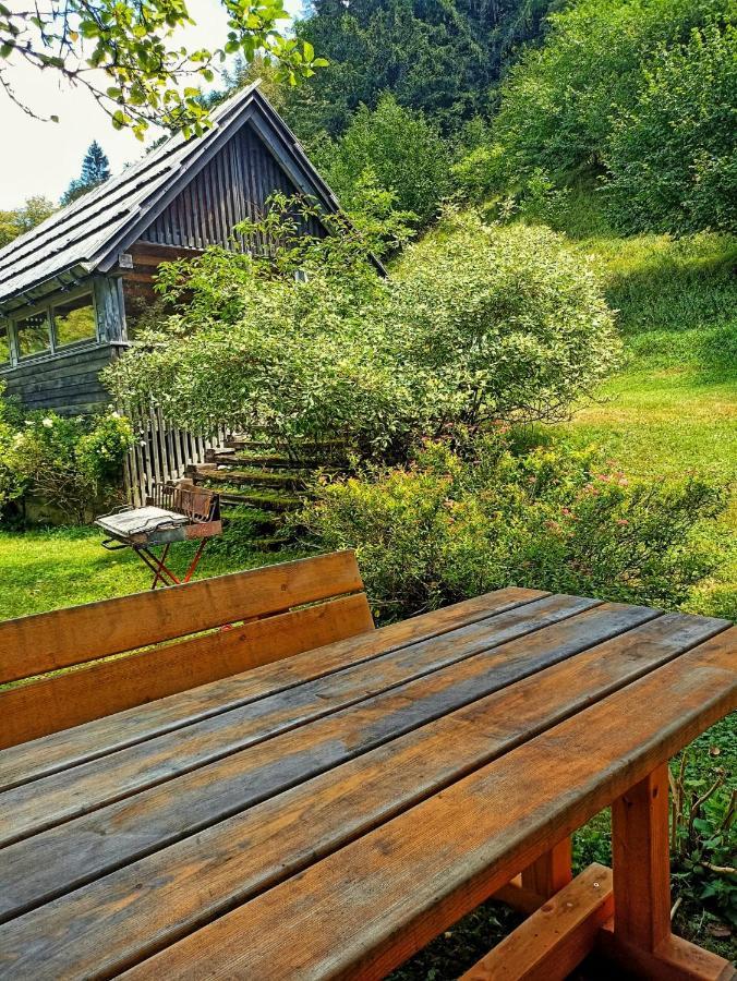 Cozy Cottage In The Heart Of The Triglav National Park Soca Ngoại thất bức ảnh